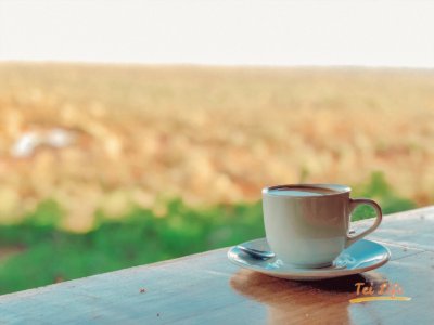 Victoria Falls Safari Lodge