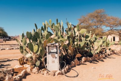 eZy Watermark_14-11-2020_06-40-57午後