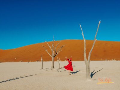deadvlei