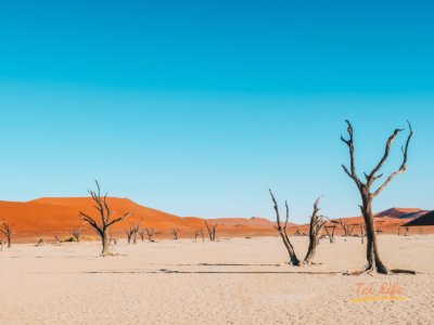 deadvlei