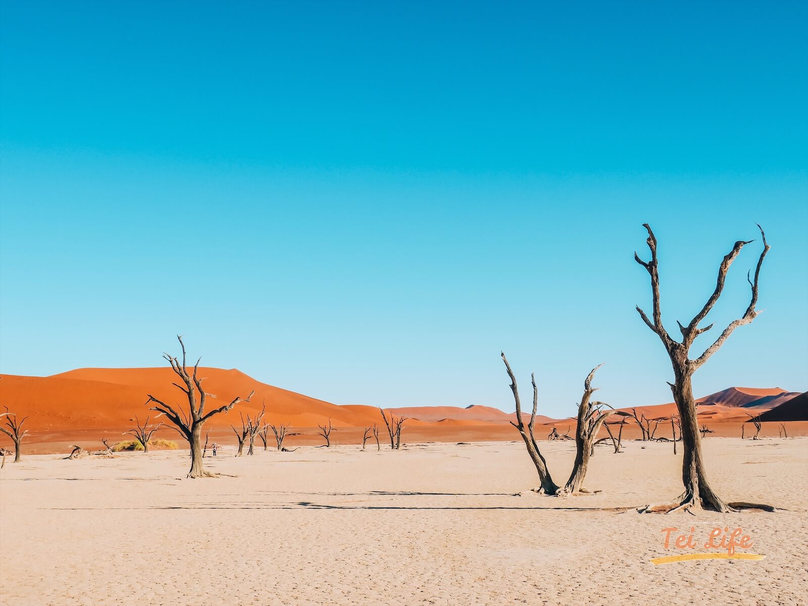 deadvlei