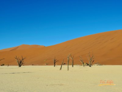 eZy Watermark_04-01-2021_10-42-18午後