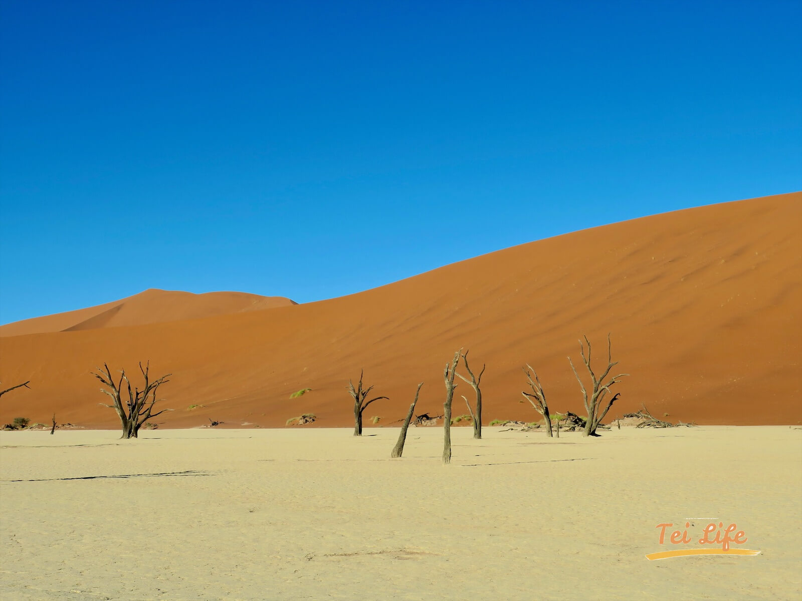 eZy Watermark_04-01-2021_10-42-18午後