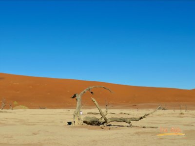 eZy Watermark_04-01-2021_10-42-19午後 2