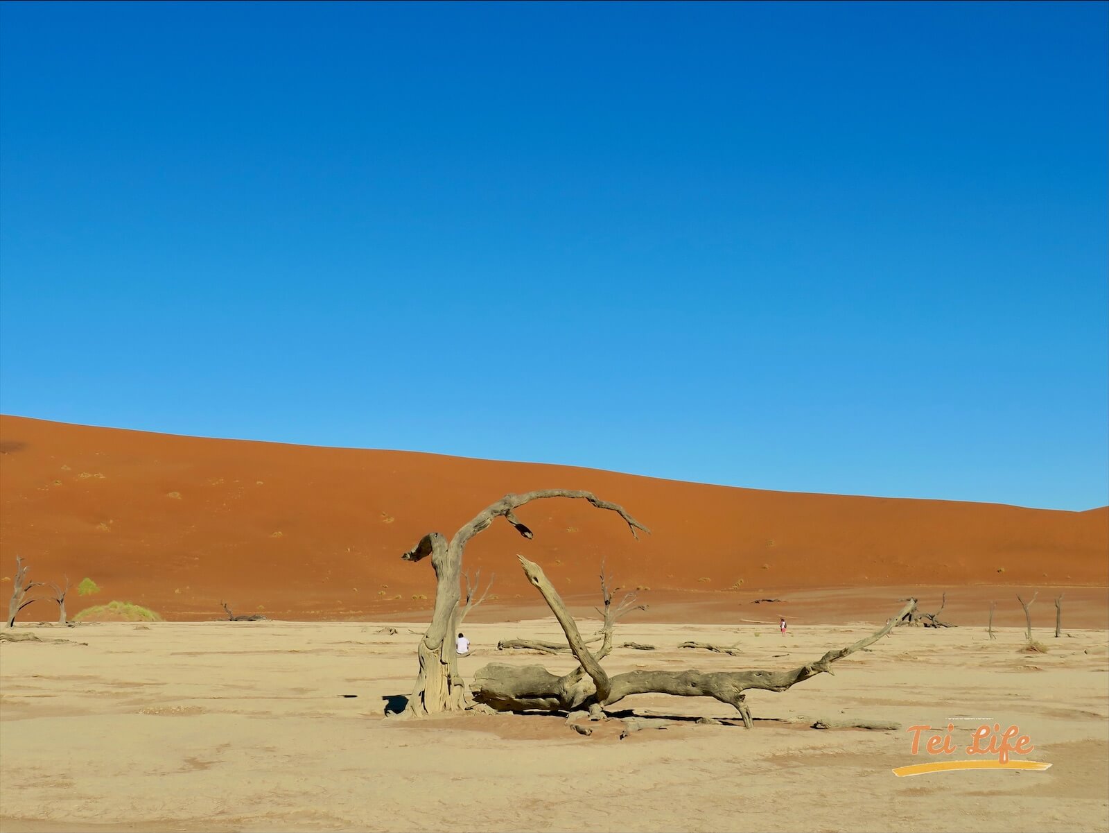 eZy Watermark_04-01-2021_10-42-19午後 2