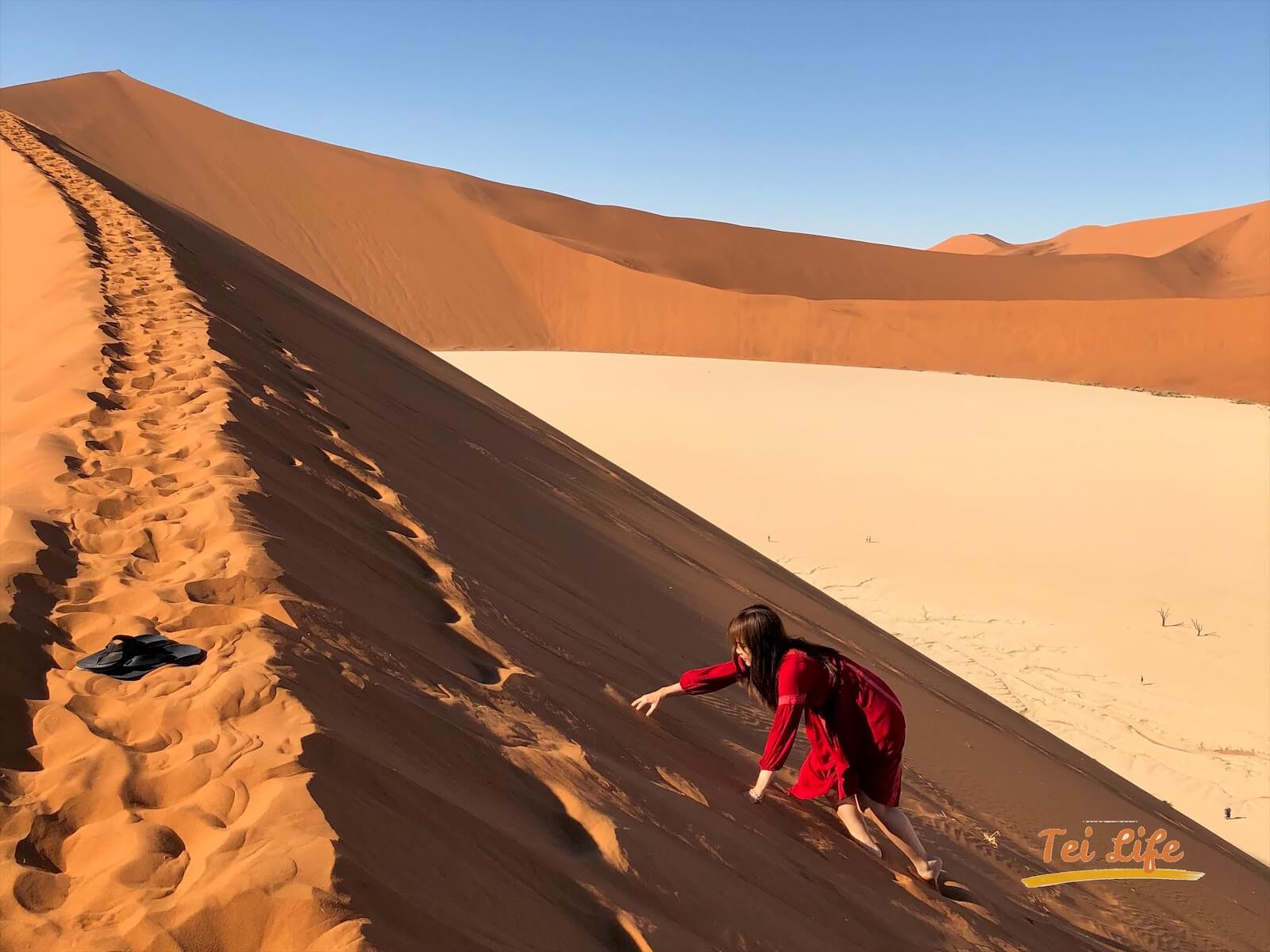 eZy Watermark_04-01-2021_10-42-22午後 2