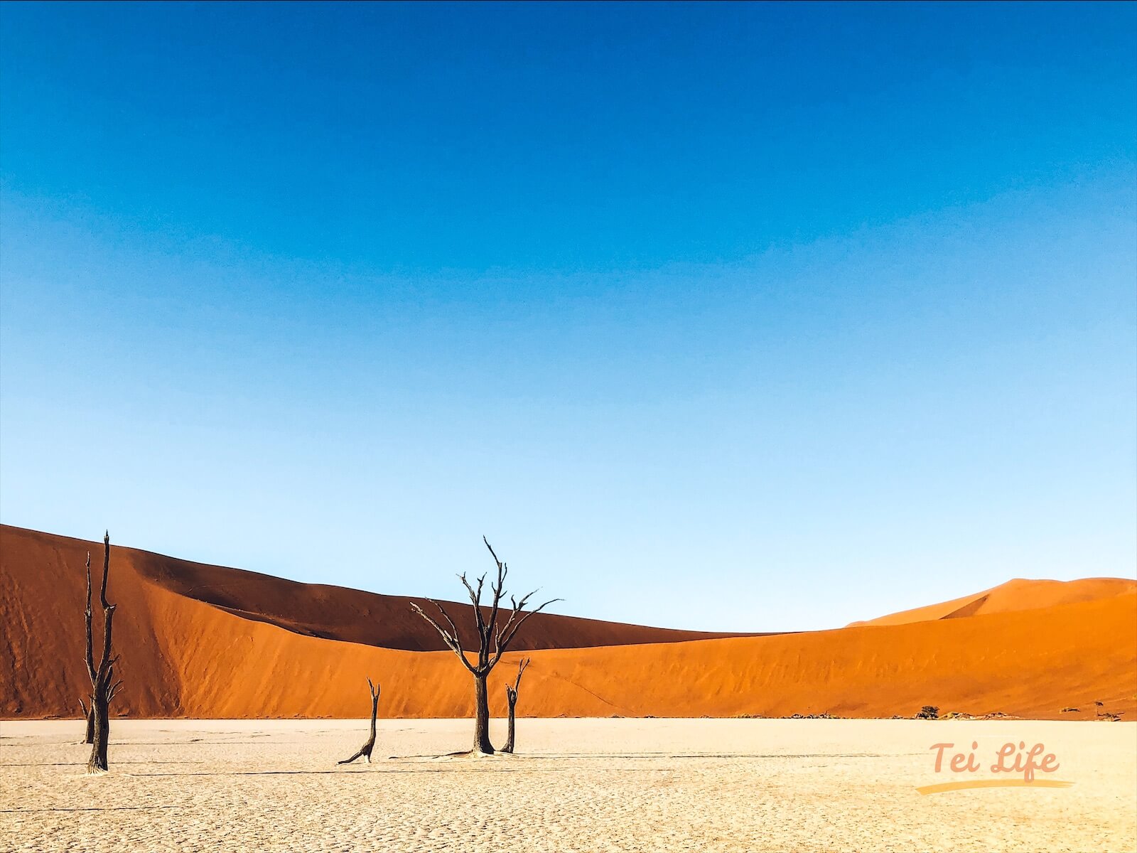deadvlei