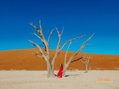 deadvlei