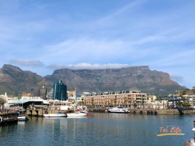 eZy Watermark_18-02-2021_04-00-54午後